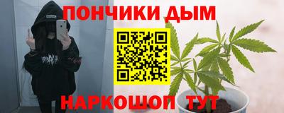 шишки Балахна