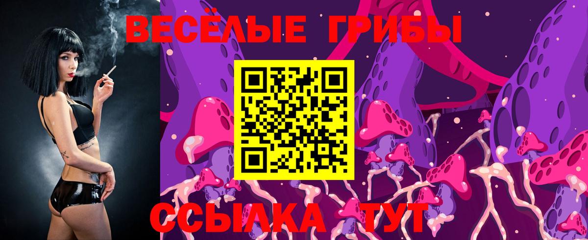 Галлюциногенные грибы GOLDEN TEACHER  где найти наркотики  Верхняя Пышма  Вход с VPN 